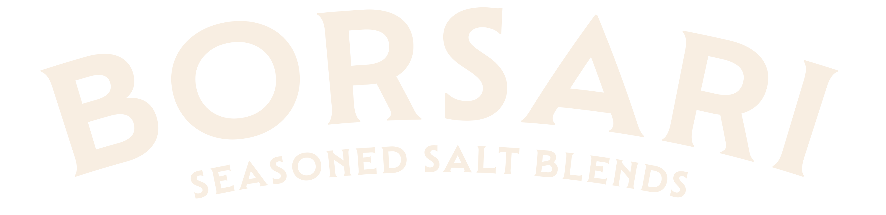 Borsari Food Co.